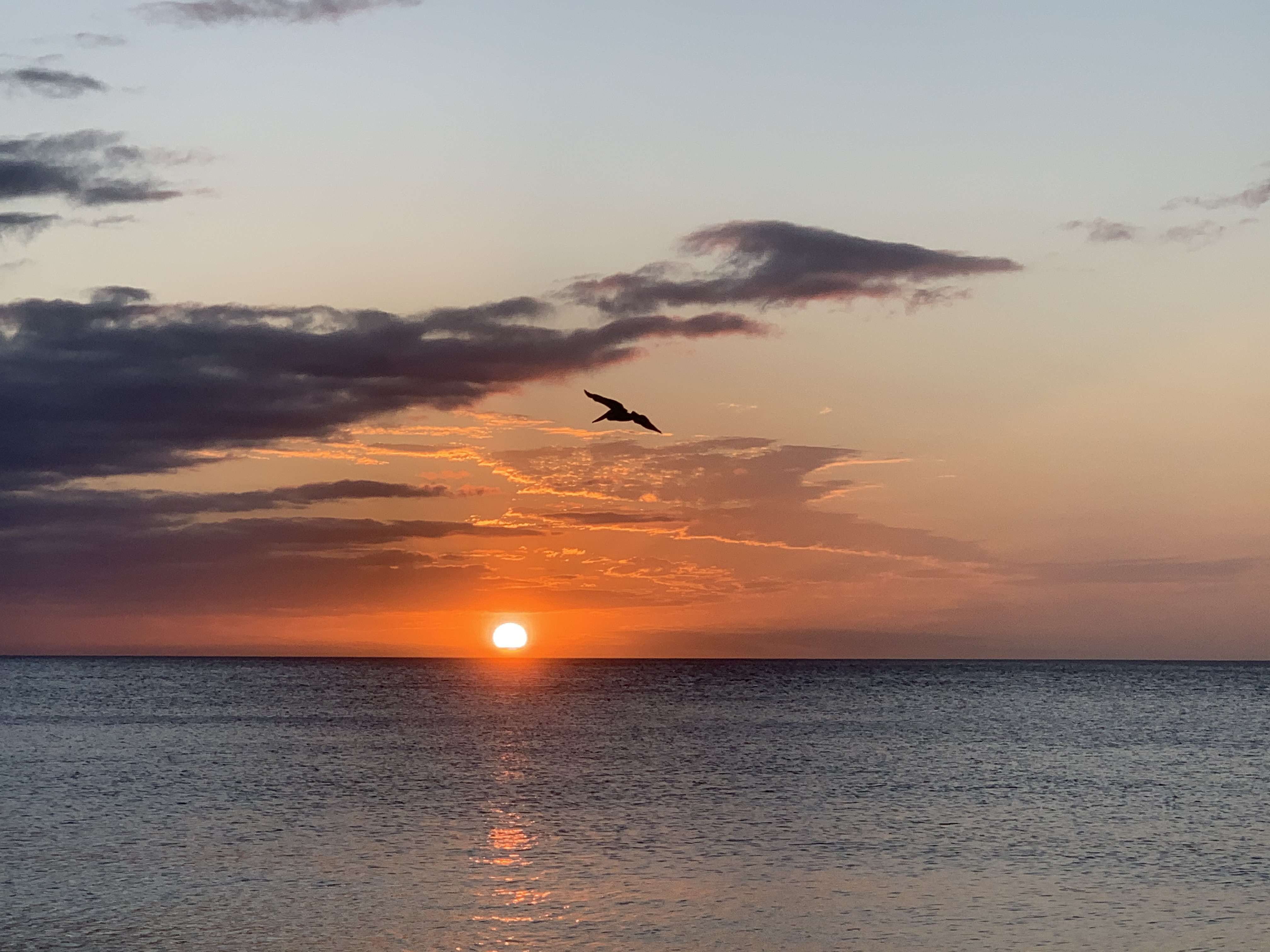 Marco Island